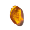 AMBER