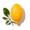 SPICY BERGAMOT