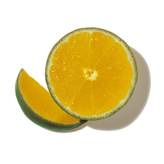 BITTER ORANGE