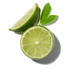 CITRUSY CLEMENTINE