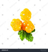 CLOUDBERRIES