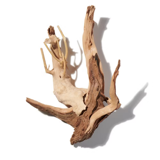 DRIFTWOOD