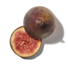 FIG