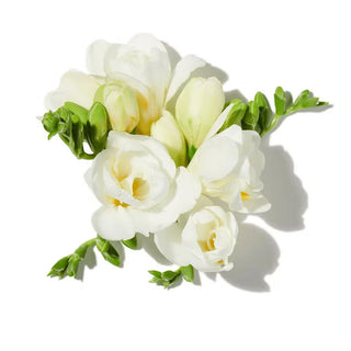 FLORAL NOTES
