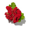 GERANIUM