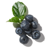 Juniper Berries