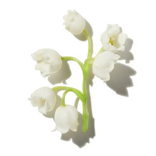 LILLY-OF-THE-VALLEY