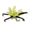 MADAGASCAR VANILLA