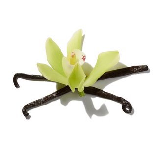 MADAGASCAR VANILLA