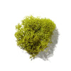 MOSS
