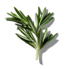 ROSEMARY