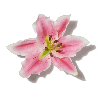SCLARENE