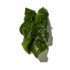 SEAWEED