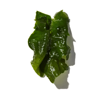 SEAWEED