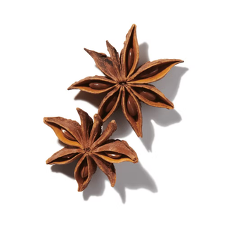 ANISE