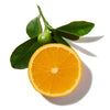TANGERINE