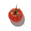 TOMATO LEAF