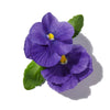 VIOLET LEAF