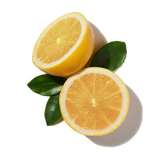 GRAPEFRUIT BLOSSOM
